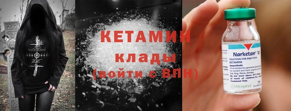 шишки Медвежьегорск