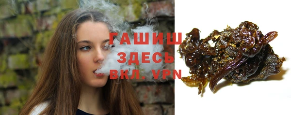шишки Медвежьегорск