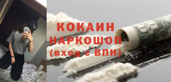 шишки Медвежьегорск