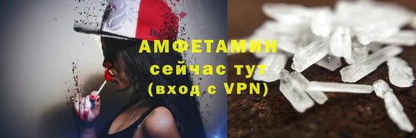 шишки Медвежьегорск