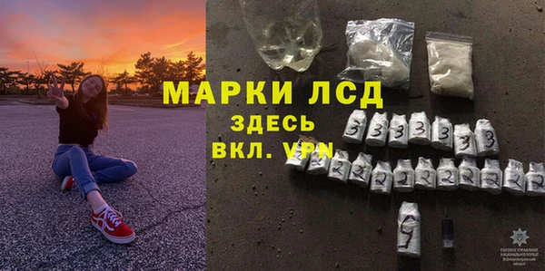 шишки Медвежьегорск