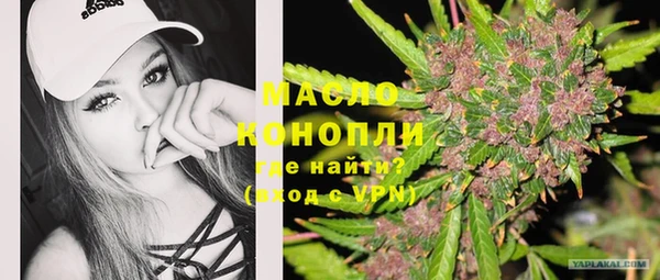 шишки Медвежьегорск