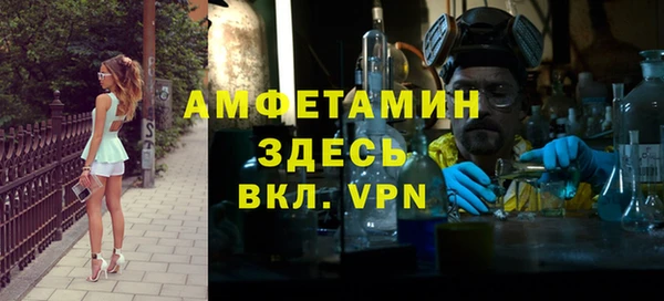 шишки Медвежьегорск
