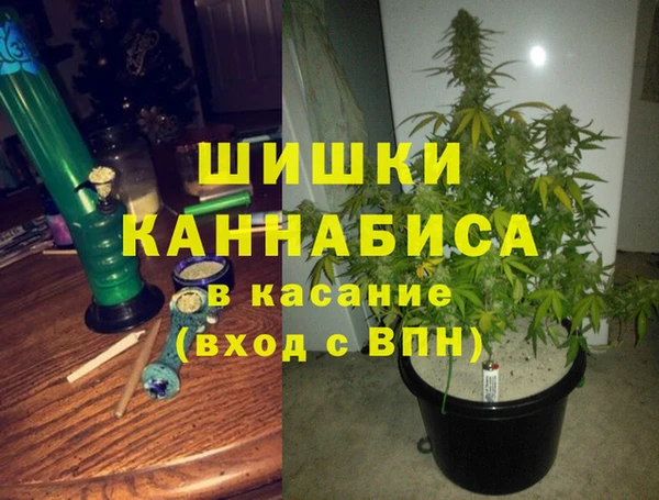 шишки Медвежьегорск