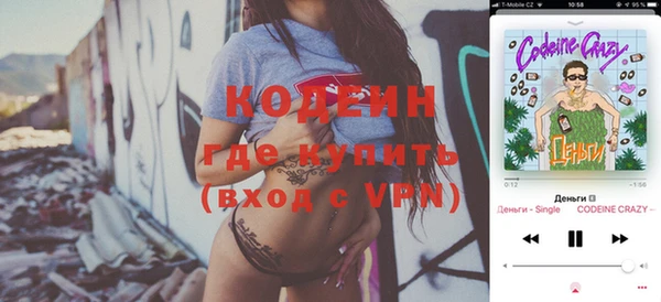 шишки Медвежьегорск